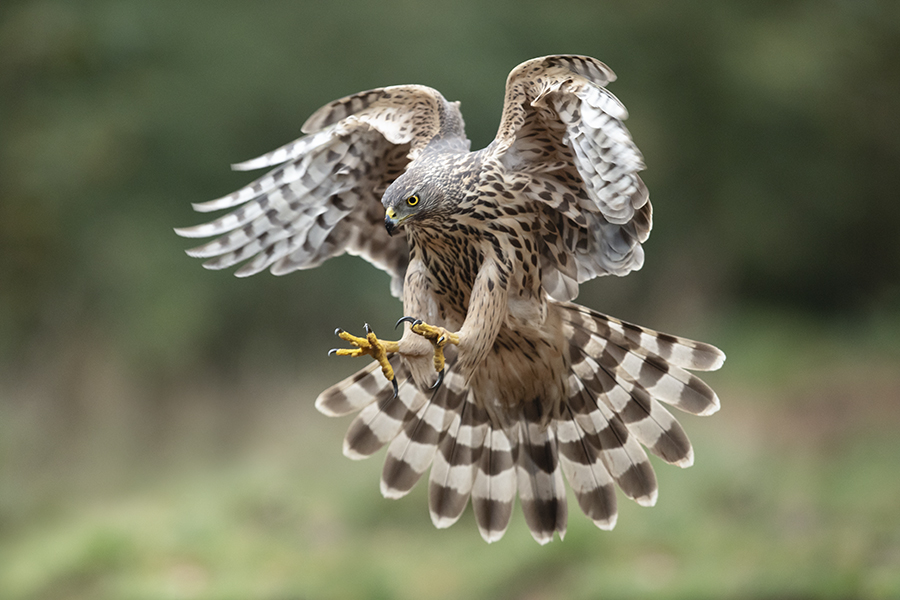 Algemene toelichting