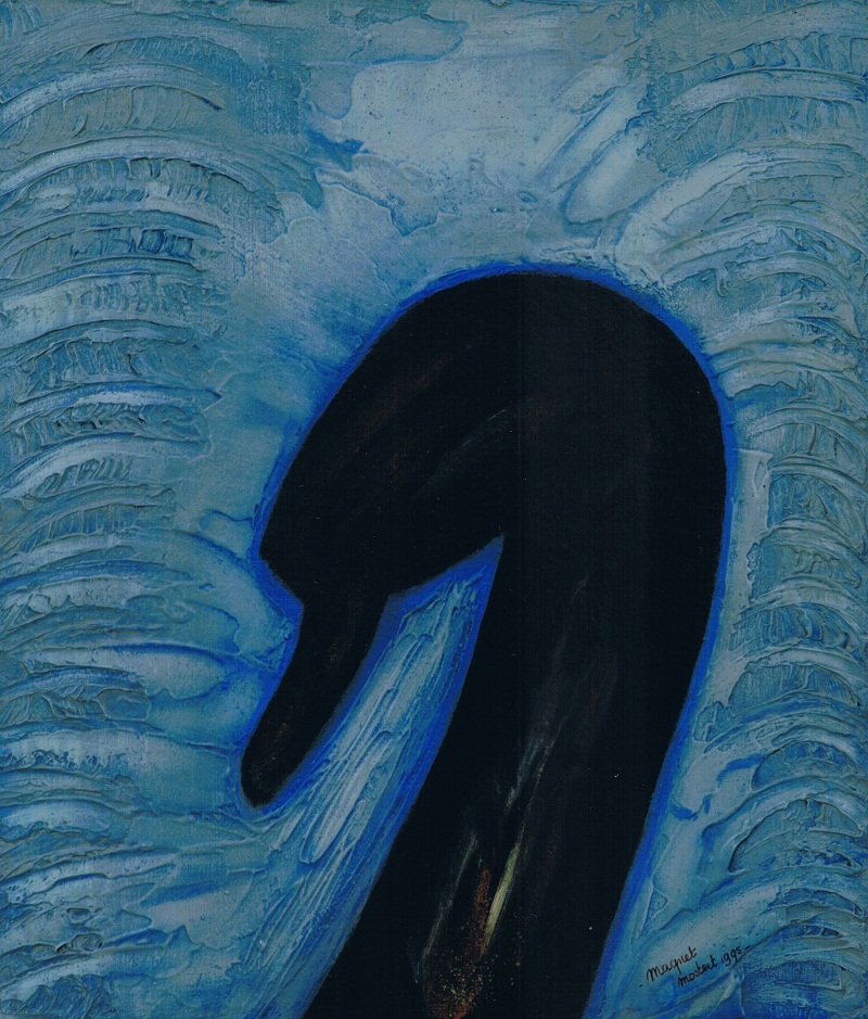 ANBI & Financiële Transparantie